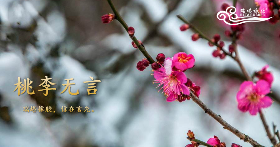 5fa2219919793.jpg 5fa2219919793.jpg